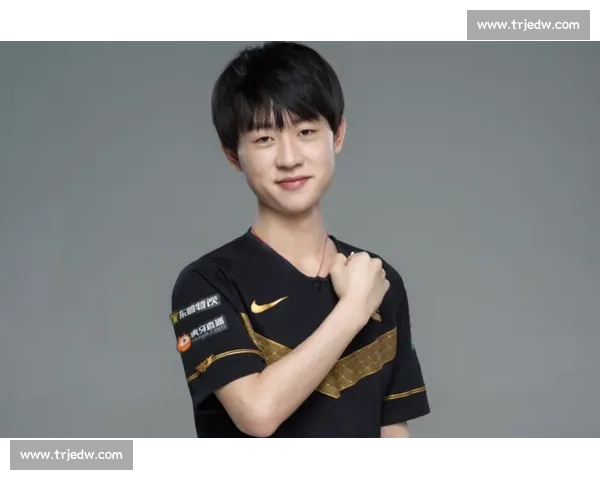 LPL赛区年度比赛奖金分配与选手收入解析全景报道