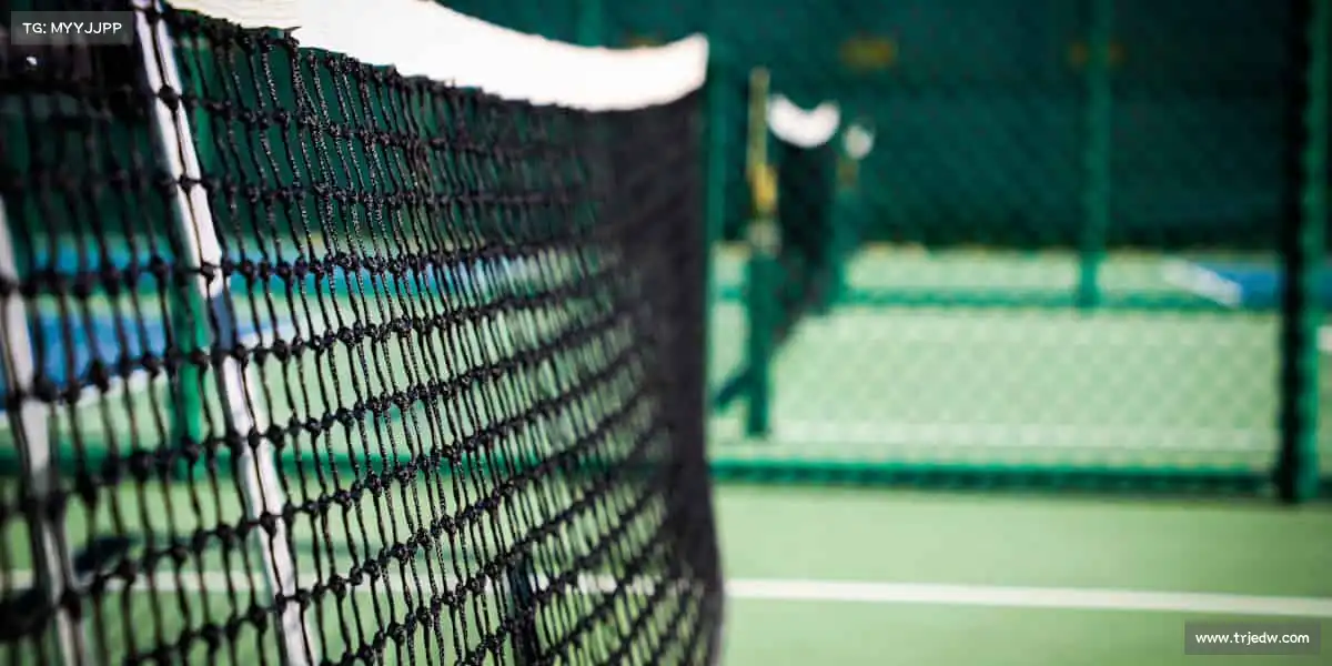 行业领先的理由